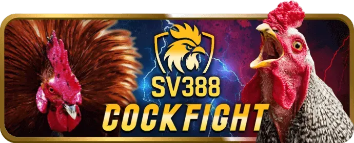 Giao diện cá cược đá gà 79sodo